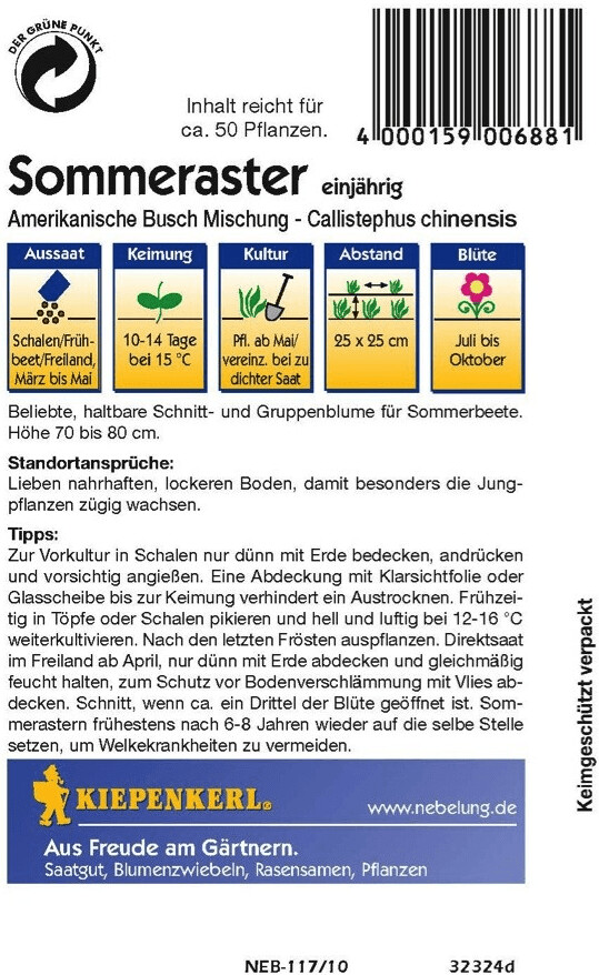Kiepenkerl Kiepenkerl Sommeraster Amerikanische Busch Mischung - back view
