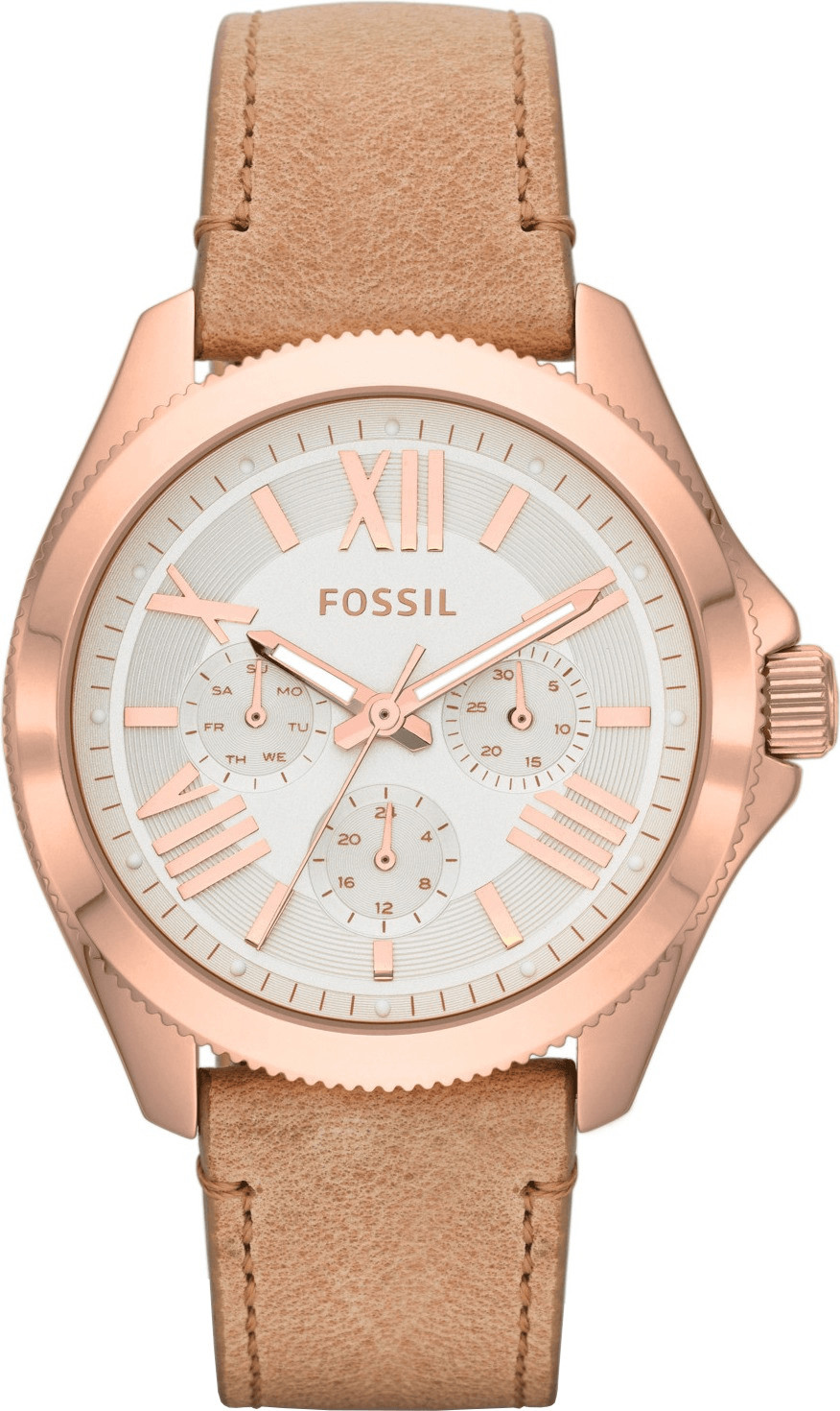 Fossil Cecile (AM4532)