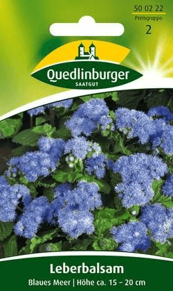 Quedlinburger Quedlinburger Saatgut Leberbalsam Blaues Meer - Product image 1 of 1