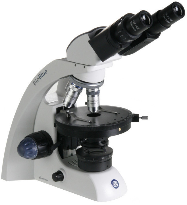 Euromex BB.4260-POL