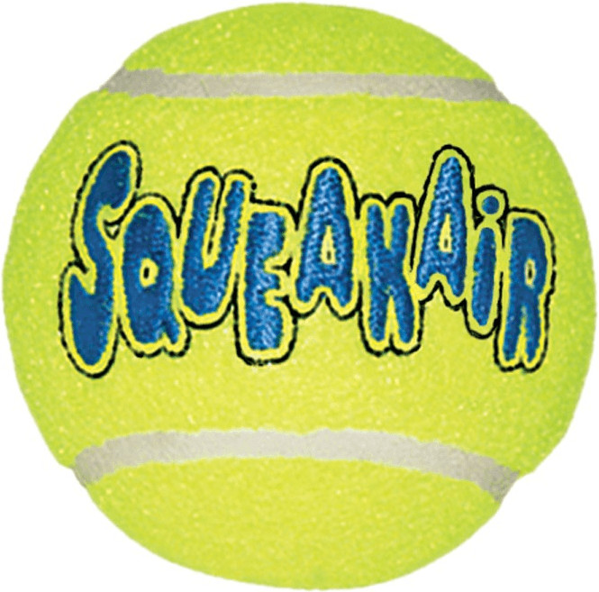 Kong AirDog SqueakAir L