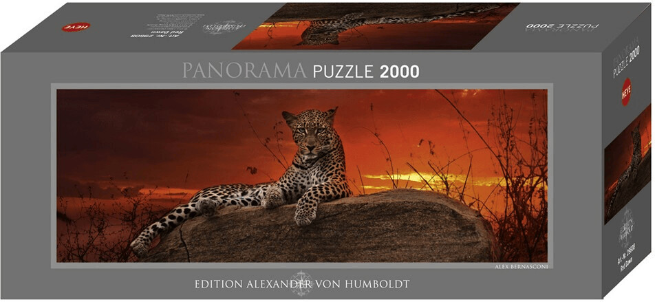 Heye 29608