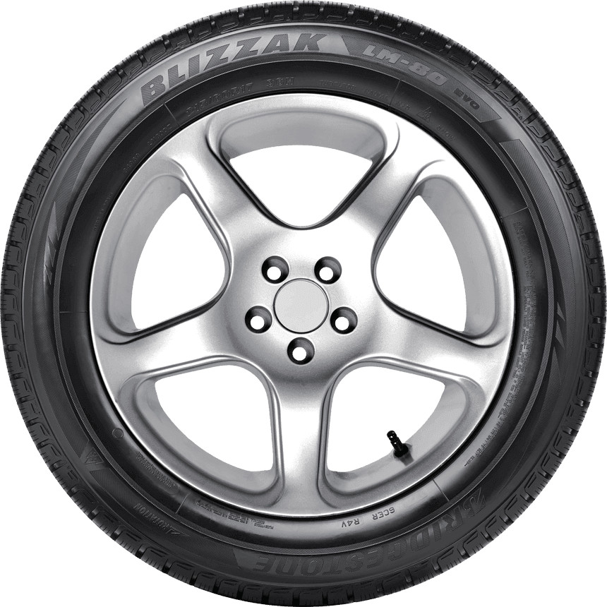 Bridgestone Blizzak LM-80 EVO 235/55 R19 105V ab 130,00 ...