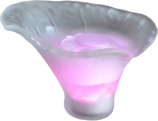 Zen'Arôme ARUMA