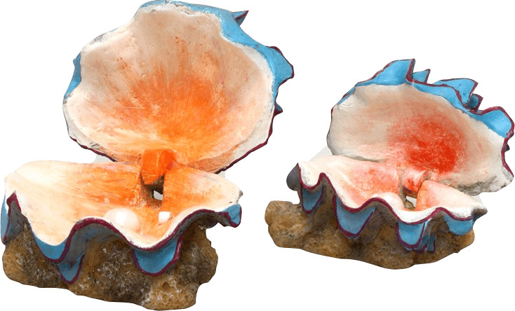 JBL Diffuseur d'air Beautiful Shells