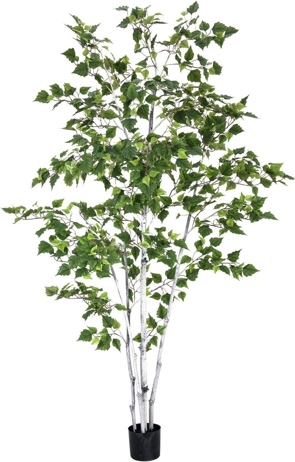 Europalms Bouleau - 210 cm