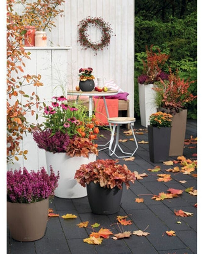 Lechuza Lechuza Classico Color 21 All-in-One Set slate grey - view 11