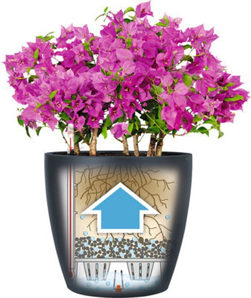 Lechuza Lechuza Classico Color 21 All-in-One Set slate grey - view 13