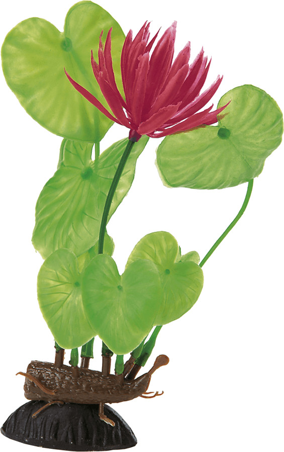 Ferplast Eichhornia BLU 9066