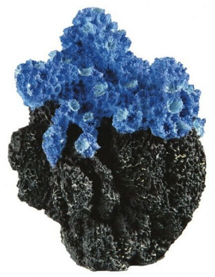 Ferplast Corail BLU 9134