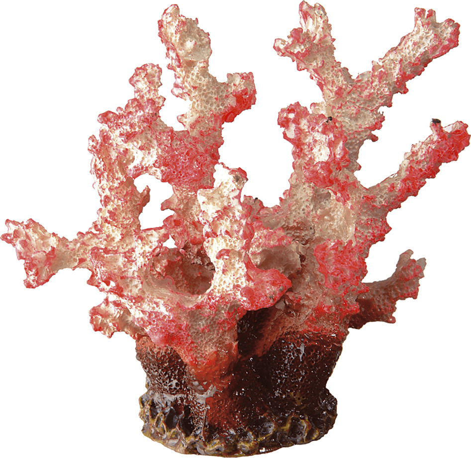 Ferplast Corail BLU 9133