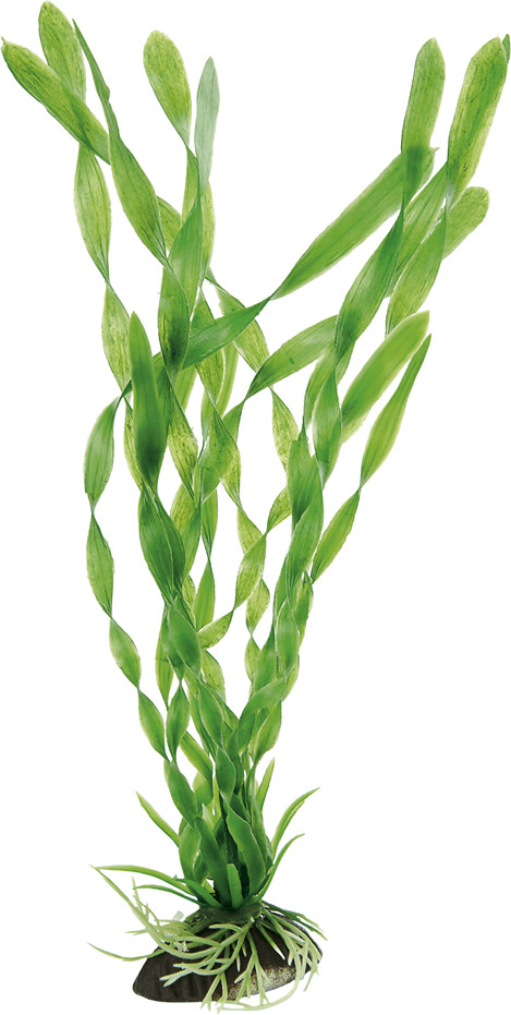 Ferplast Vallisneria BLU 9069
