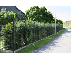 Deutsche Zauntechnik Stahlgitterzäune Moritz 6/5/6 251 x 63 cm
