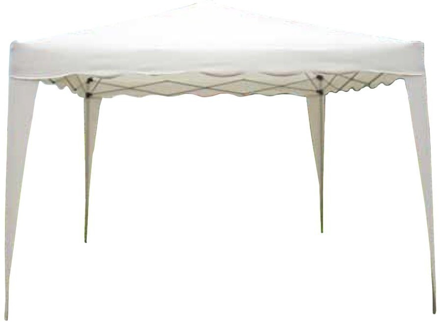 Papillon 55169