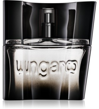 Emanuel Ungaro Ungaro Masculin Eau de Toilette (30 ml)