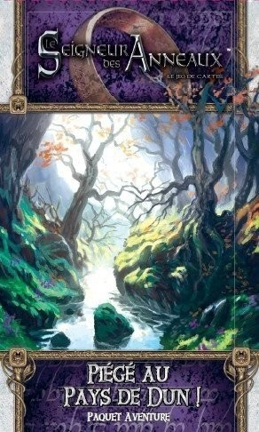 Le Seigneur des Anneaux JCE - Cycle 4 - Piégé au Pays de Dun !