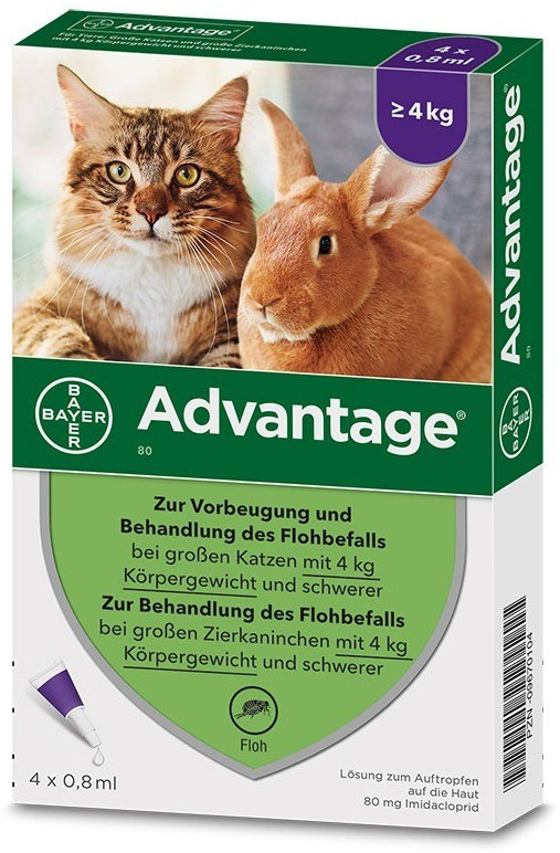 Bayer Santé Familiale Advantage 80 pour chat et lapin 4-10 kg 4 pipettes