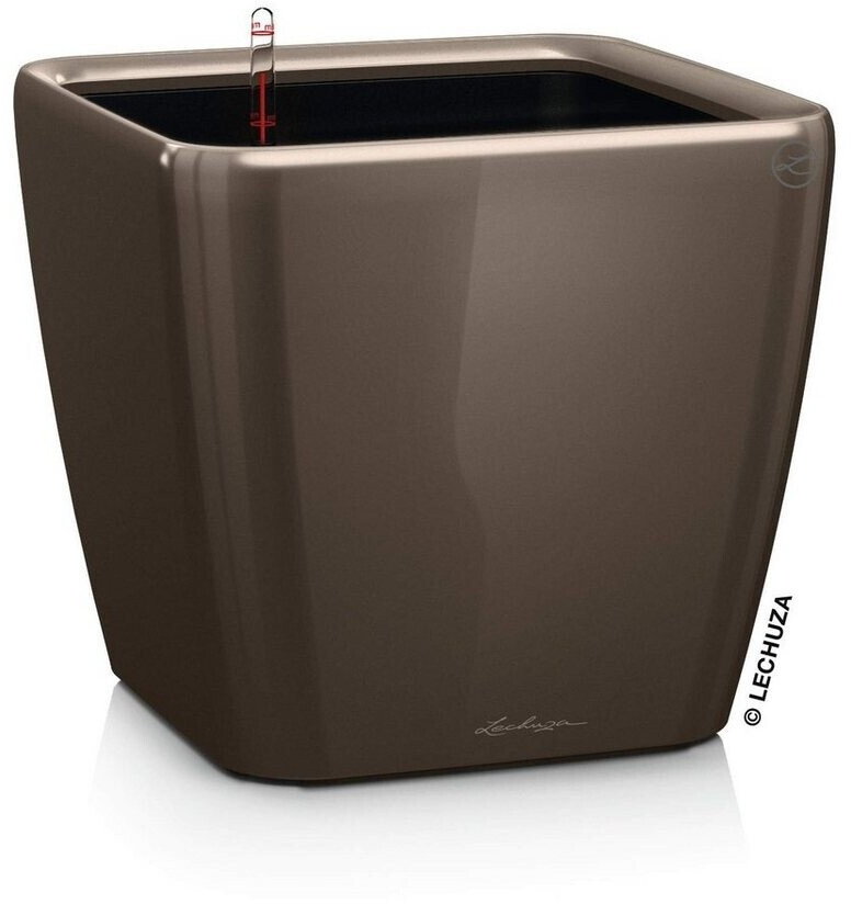 Lechuza Quadro LS 43 taupe
