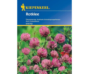 Kiepenkerl Rotklee ab 18.99  | Vergleiche 4 Angebote auf idealo.de