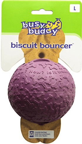 Busy Buddy Balle distributeur de biscuits (taille L)