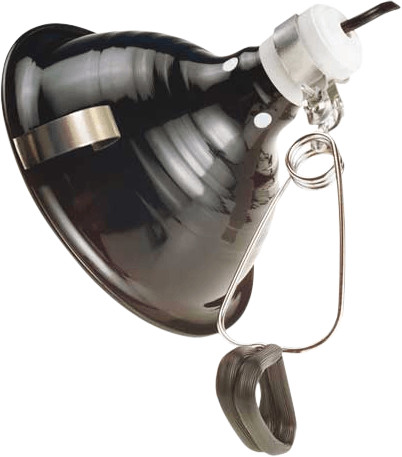Hobby Clamp Lamp 26cm