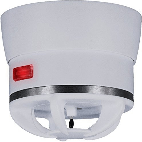 Elro Cavius 3002-003