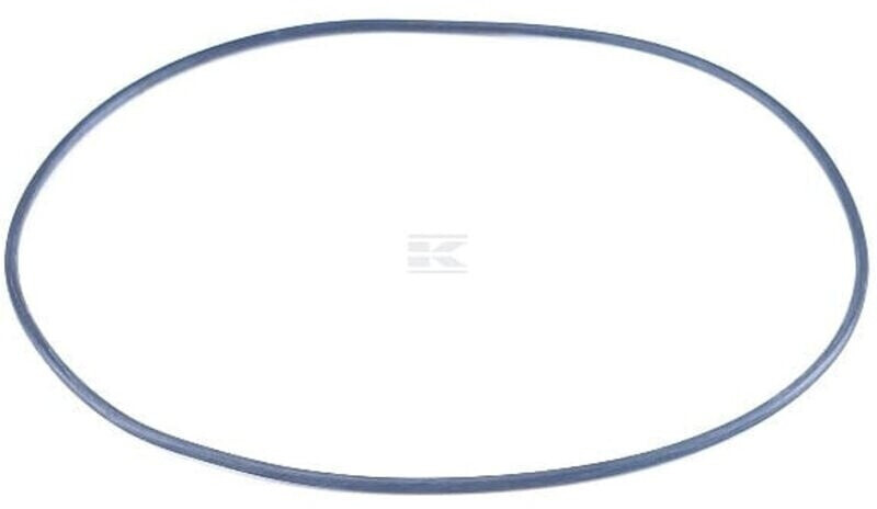 Kärcher Kärcher O-Ring 100,0x1,78 (6.362-448.0) - Product image 1 of 2
