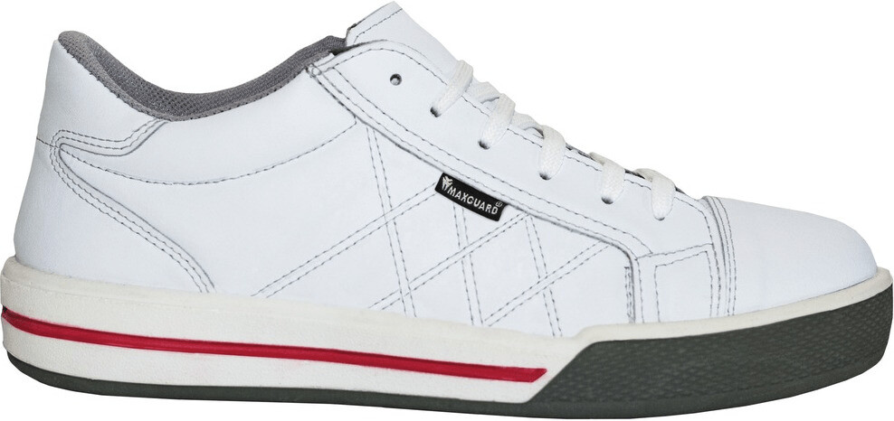 Maxguard Scott 12