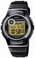Casio Collection (W-213)