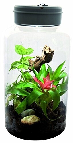 Lucky Reptile InsectTarrium 5 L