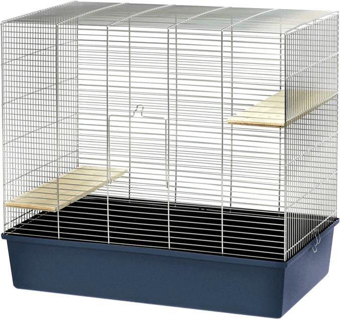 Vadigran Chinchilla 80