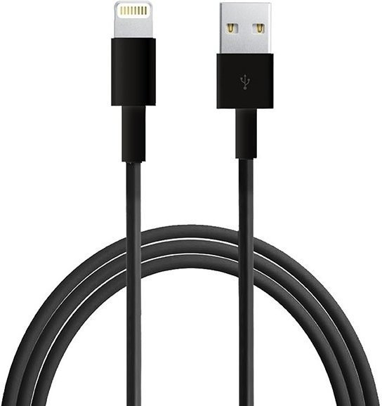 Fontastic Câble de données Lightning (1 m)