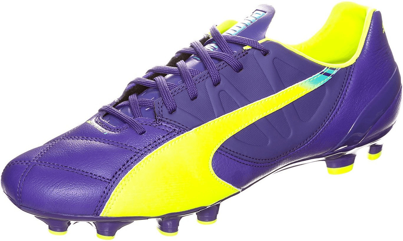 puma evospeed 3.5 leather fg