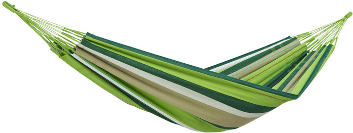 Amazonas Colombiana olive