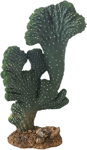 Hobby Cactus Victoria 22 cm (37020)