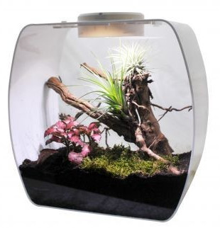 Lucky Reptile Life Box 30 x 18 x 30 cm