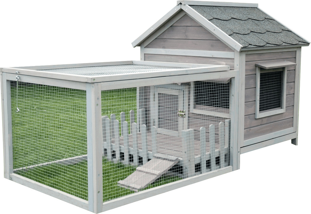 Lifland Clapier Animals Cottage gris