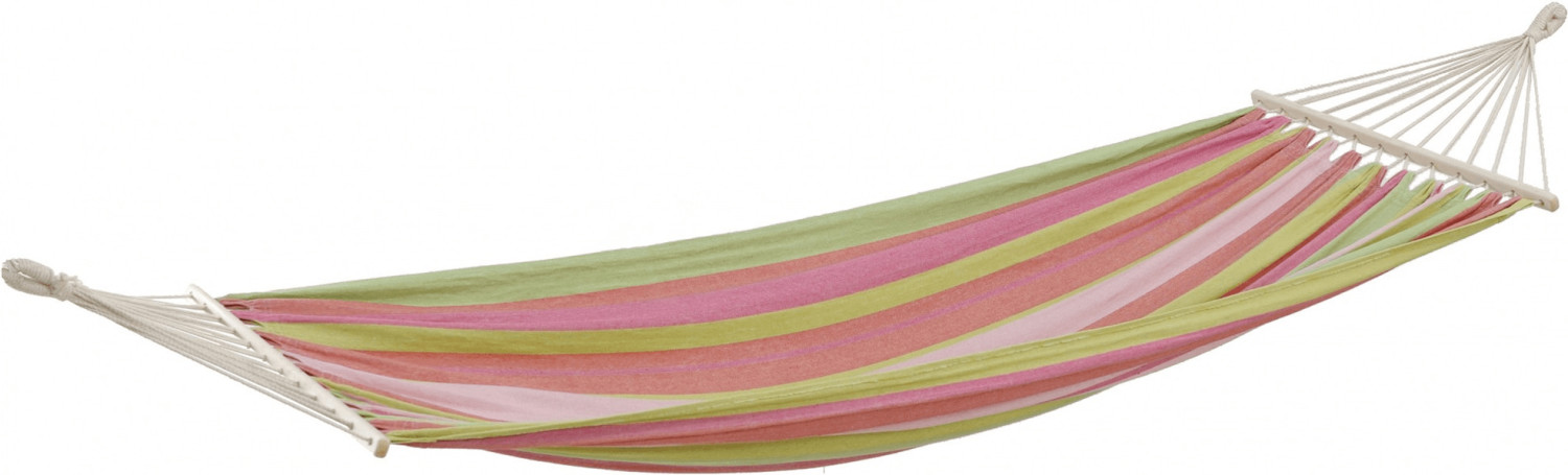 Amazonas Tonga bubblegum