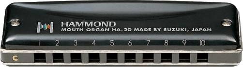 Suzuki Promaster Hammond