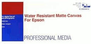 Epson C13S042013