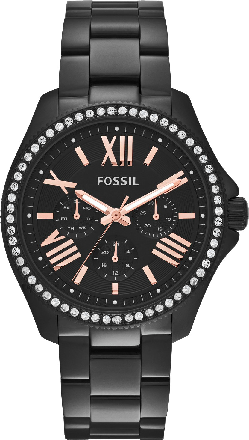 Fossil Cecile (AM4522)