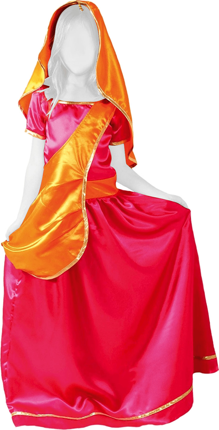 Cesar Group Panoplie Bolywood Sari (F233)