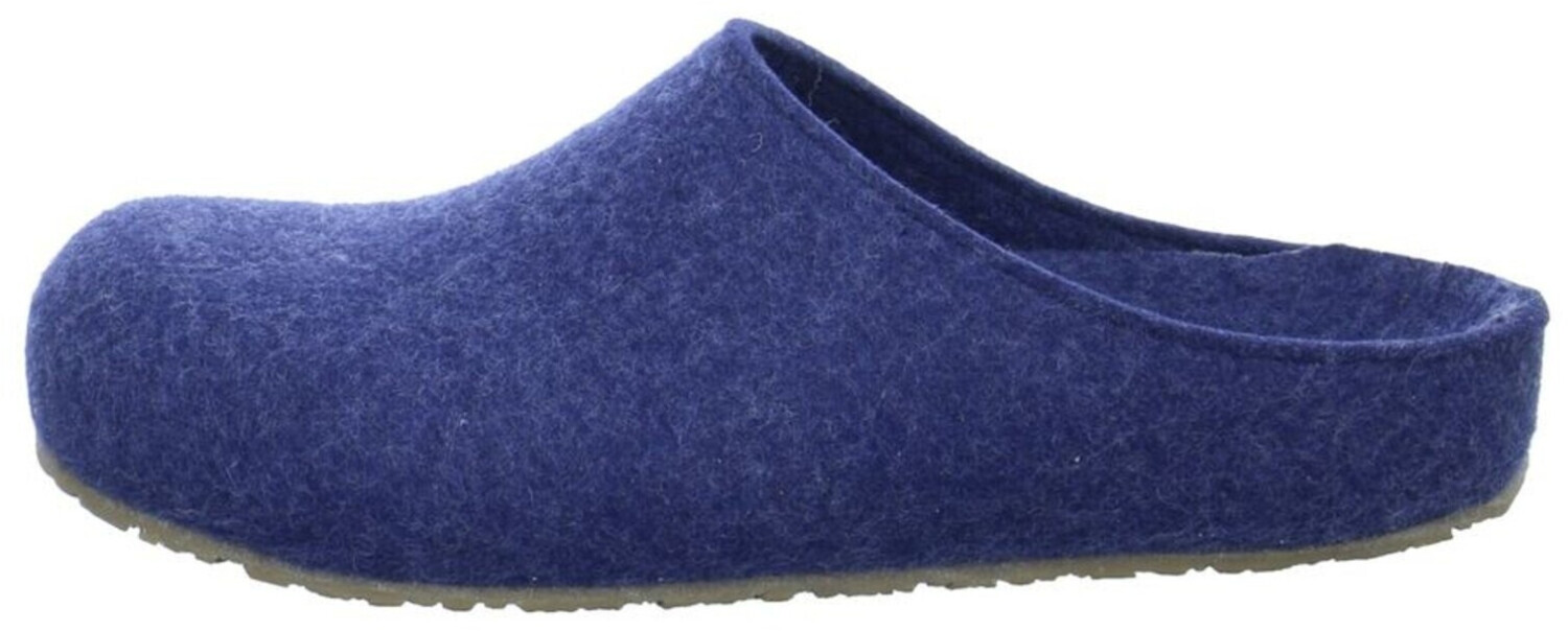 Haflinger Michel bleu