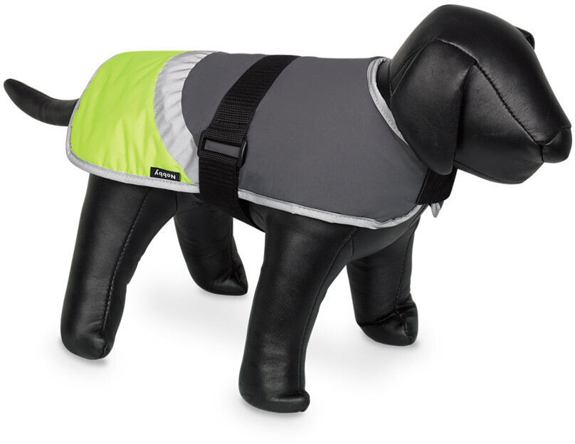 Nobby Neon Dog Coat