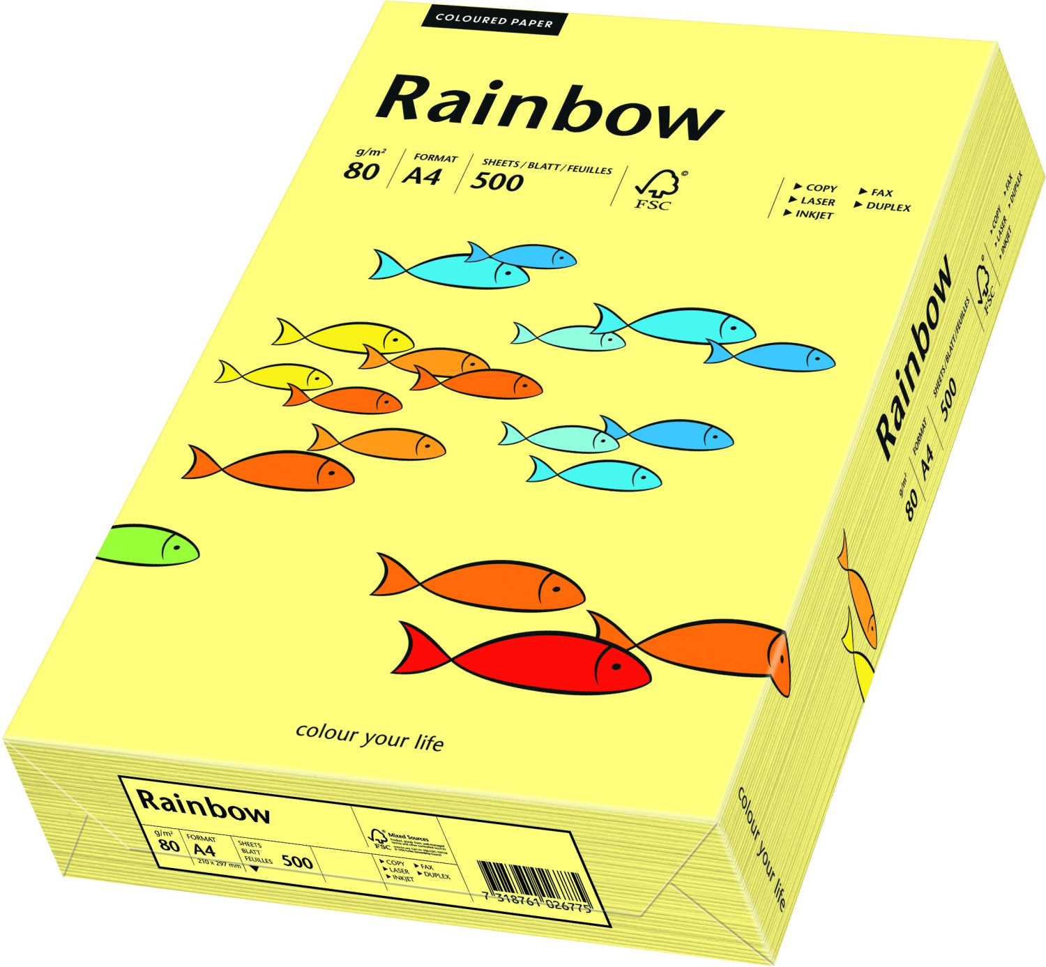 Papyrus Rainbow (88042297)