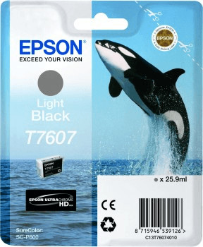Epson T7607 noir clair (C13T76074010)