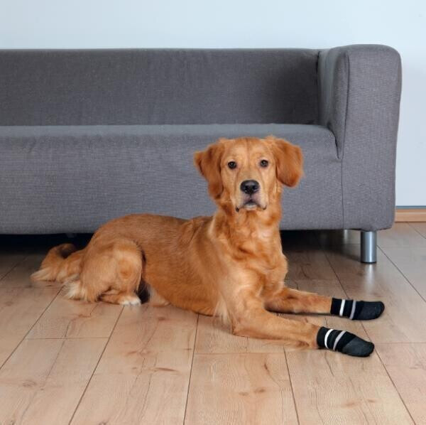 Trixie Hundesocken Anti Rutsch ML (5,8 cm) ab 3,44 € Preisvergleich
