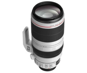 Canon EF 100-400mm f4.5-5.6 L IS II USM ab 2.399,00 € (Juni 2024 