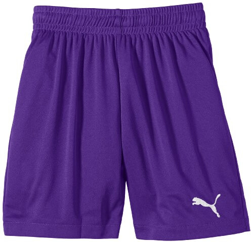 Puma Short Velize
