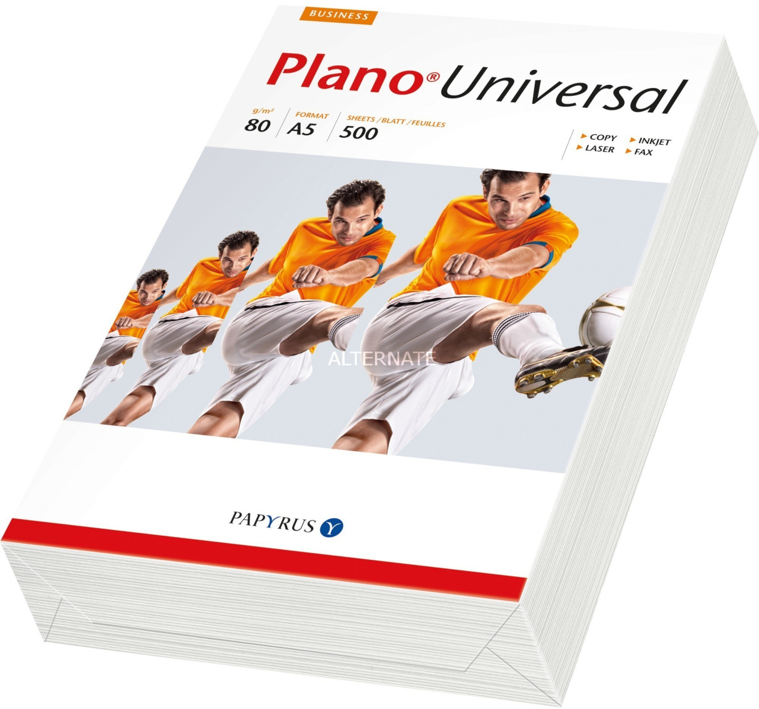 Papyrus Plano Universal (88110037)